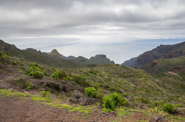 Fototapeta premium Tenerife