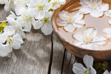 Fototapeta na wymiar Floating flowers ( Cherry blossom) in сlay bowl.