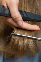 Naklejka premium hand trimming hair with scissors and comb