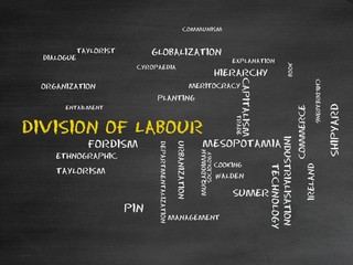 Division of labour