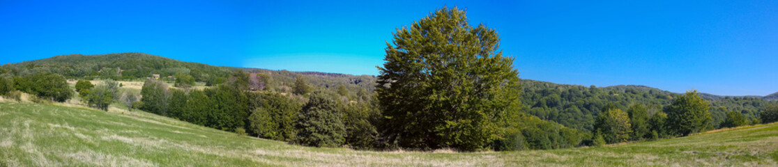 Panoramic view of field from central Serbia