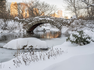 Gapstow bridge Central Park, New York City