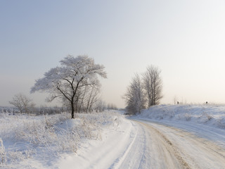Fototapeta na wymiar The cold winter in the Moscow region