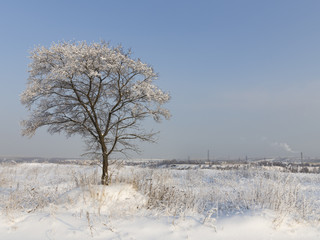 Winter in Moscow Region, Russia