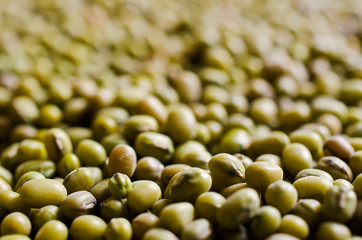 Background of  mung beans