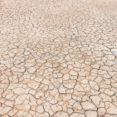 cracked soil texture