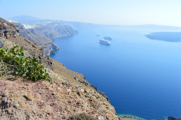 Fototapeta premium Figuier suspendu à Santorin