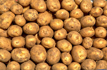 Kartoffeln auf einem Marktstand, ausgebreitet auf einem Tisch,  Detailaufnahme