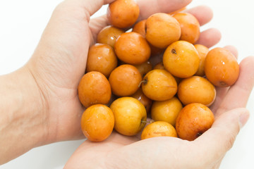 fresh jujube fruit in the hands