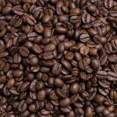 Roasted coffee beans. Close-up of coffee beans for background.
