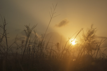 landscape of meadow and sky which has sunbeam