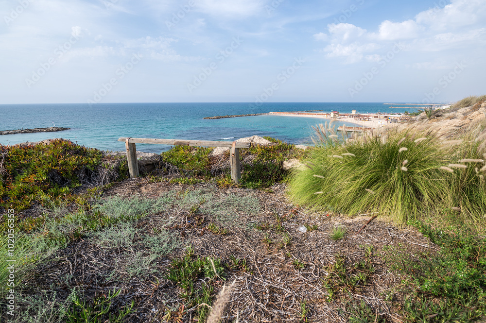 Poster Beach seen from the Independence Park in Tel Aviv, Israel