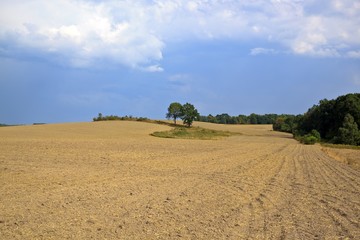 vintage rural landscape