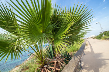 Promenade in The Independence Park in Tel Aviv, Israel © Fotokon