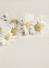 Obraz premium daisy flowers on wooden table