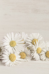 Obraz premium daisy flowers on wooden table