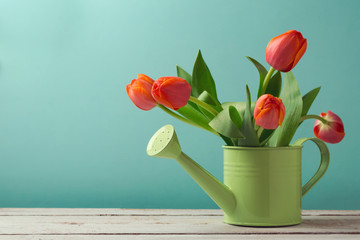 Spring tulip flower bouquet in watering can with copy space. Gardening concept © maglara