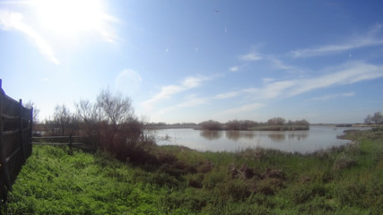 Obraz premium Panoramic view of a lake