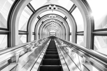 The Escalator Of The Floating Garden Observatory black and white
