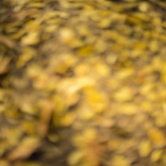 Abstract blurry yellow background