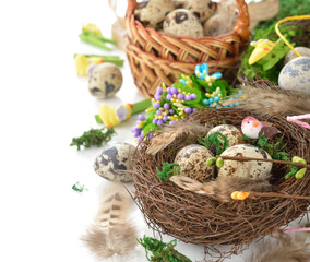 Fototapeta na wymiar Quail eggs in a nest