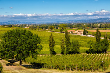 Umbria, Italy, rural landscape with the small house and vineyard