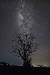 Naklejka na ściany i meble Milky way galaxy with stars and space dust in the universe at Sabah, Malaysia.