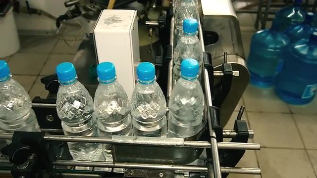 plastic bottles move along the conveyor