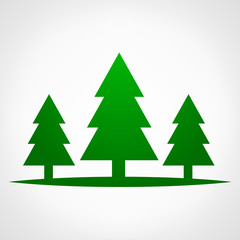 Spruce symbol