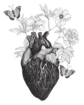 Human anatomical heart whith flowers.