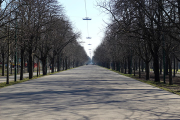 Prater Hauptallee, Wien, aufgenommen 2016