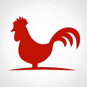 Rooster. Stylized cock on the gray background.