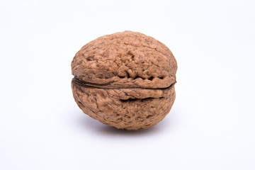 walnut on a white background