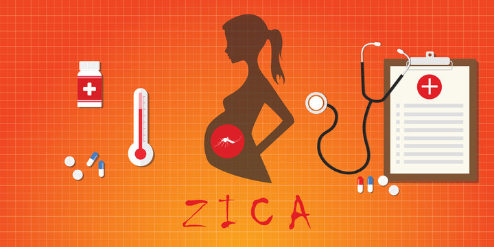zica virus pregnancy attack concept medicine vector illustration