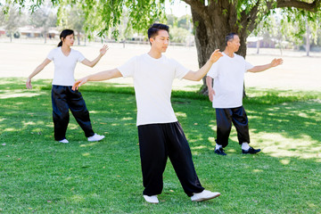 People practicing thai chi in park