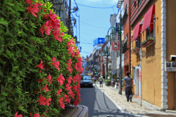 花の咲く街角