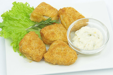 nuggets 06022016