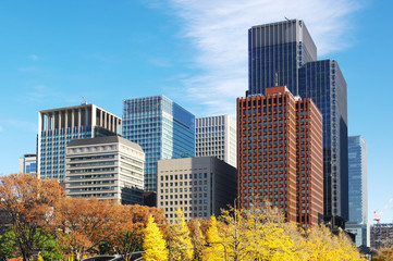Fototapeta premium 東京丸の内の都市風景