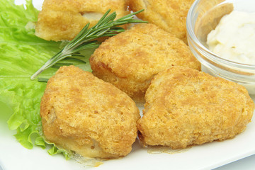 nuggets 06022016
