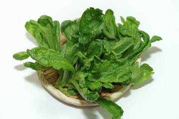 加賀野菜　金沢春菊