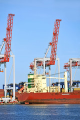 Container stack and ship under crane bridge