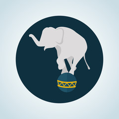 Elephant balance on the ball icon