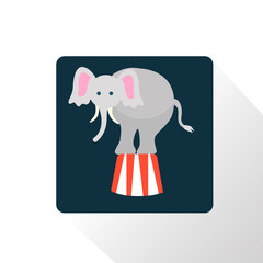 Color circus elephant icon
