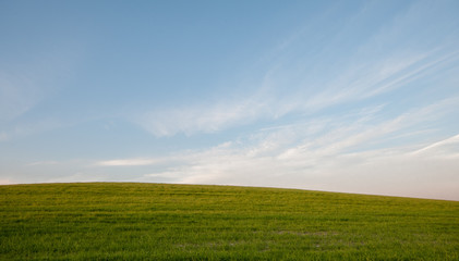  Green field and Blue cloudy Sky Environment