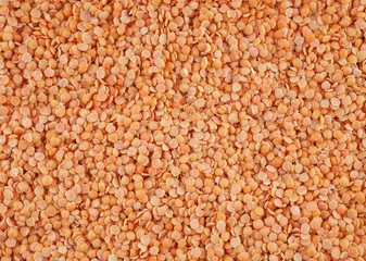 Red lentil background