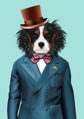 Dog dressed up in blue tuxedo and hat
