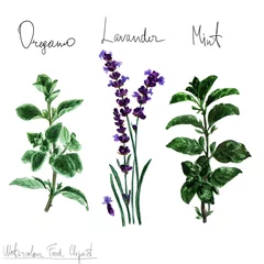 Foto op Plexiglas Watercolor Food Clipart - Herbs © nataliahubbert