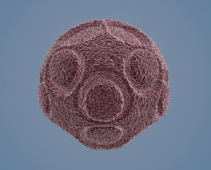 under the microscope, pollen