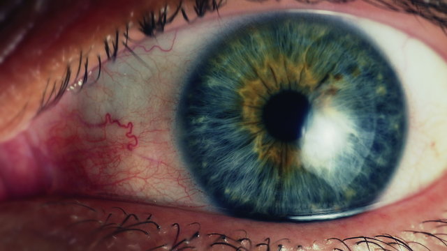 Pan across of eyes looking in all directions. Close up. 4K UHD 2160p footage.
