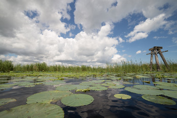 Lake Okeechobee